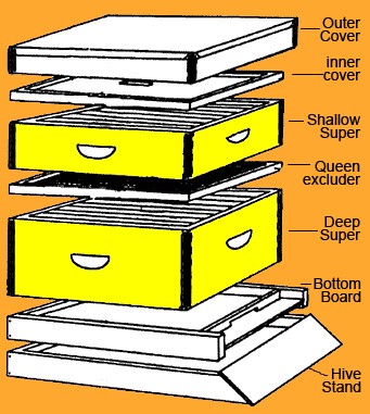 Beehive-sections