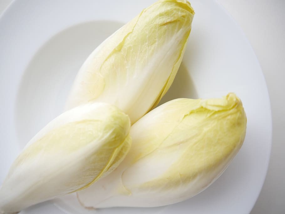 Belgian Endive