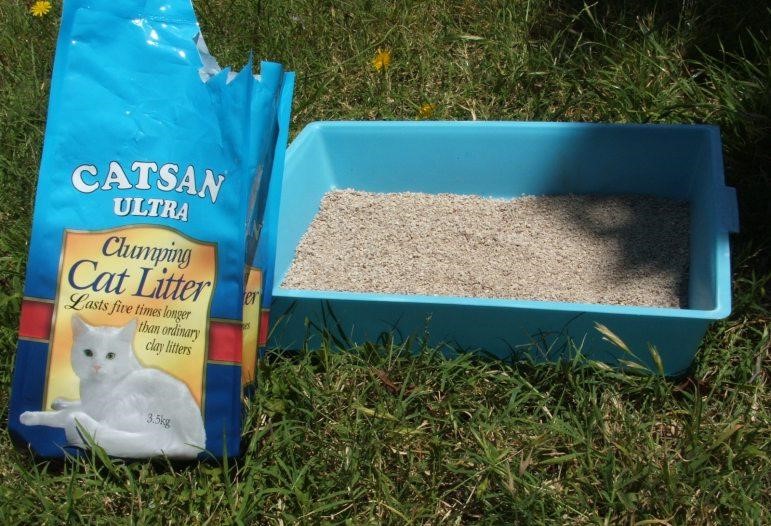 Cover mud with cat litter
