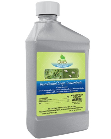 Natural Guard Insecticidal Soap Review
