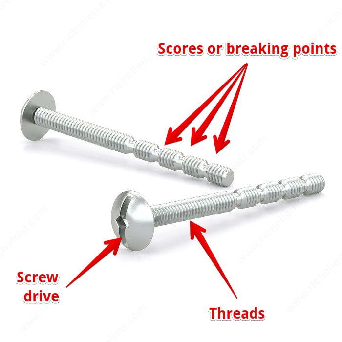 Parts of a breakaway screw