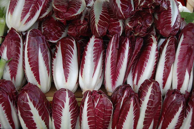 Radicchio