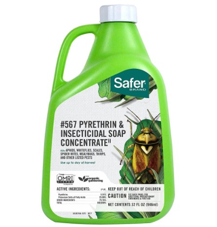 Safer-Brand-Insecticidal-Soap-Pyrethrin-Concentrate