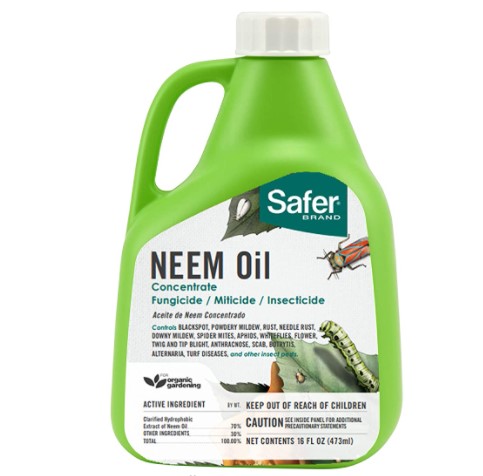 Safer 5182-6 Brand Neem Oil Review