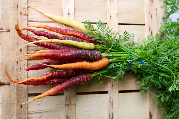 Variety of Carrots