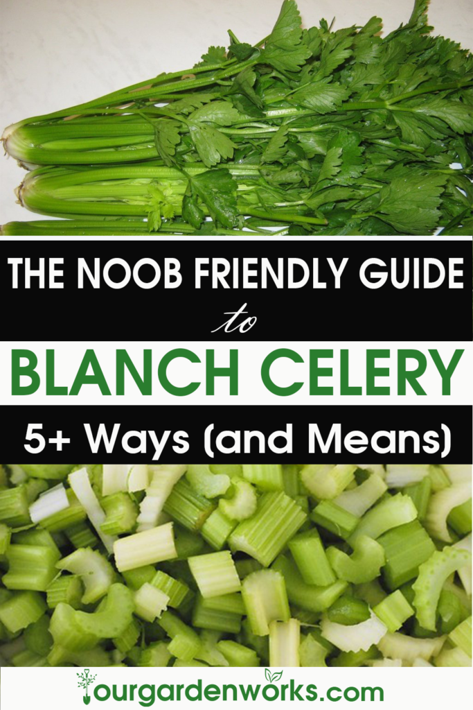 How To Blanch Celery? - Pin it on Pinterest