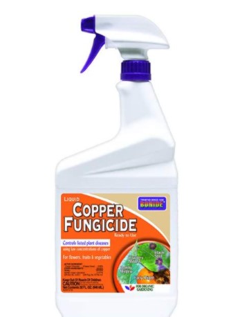 10 Best Fungicides For Tomatoes of 2021 - Reviews & Top Picks