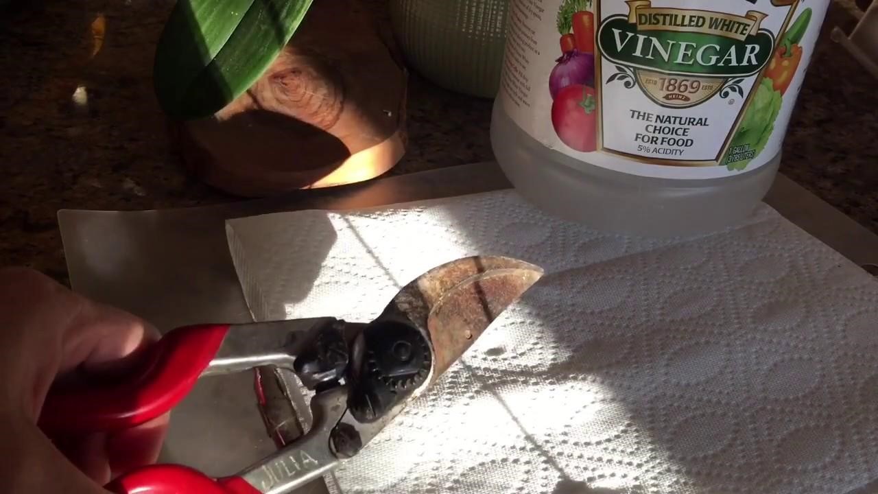 How To Remove Rust From Garden Tools