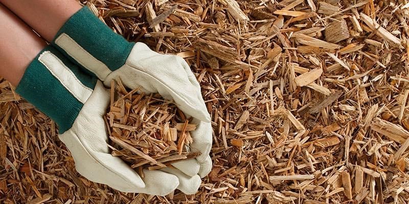 Using wood chips to fix muddy backyard dog trail 