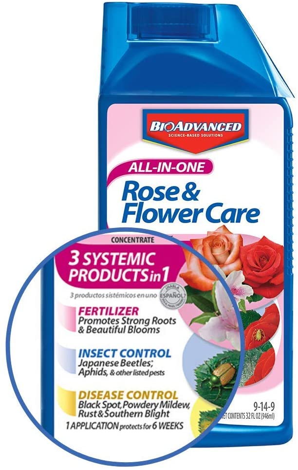 Bayer Advanced All-in-One Rose and Flower Care for fertilizing knockout roses