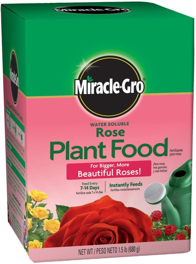 Miracle-Gro Plant Food for fertilizing knockout roses review