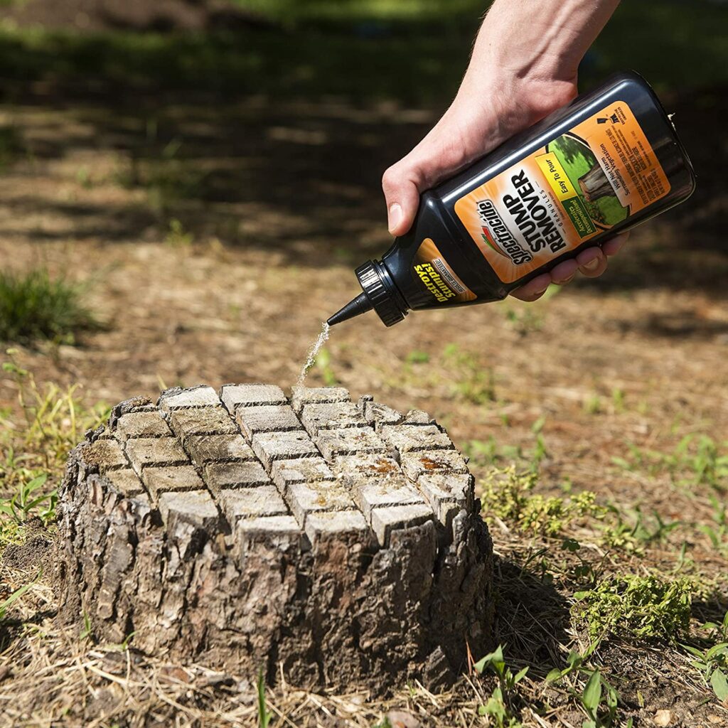 Rotting the palm tree stump with chemicals
