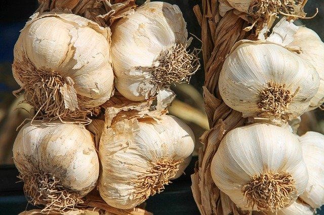 Tomato blight recipe: Pepper + Garlic + Lemon juice