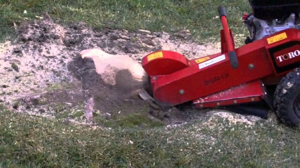 Tree stump grinder 
