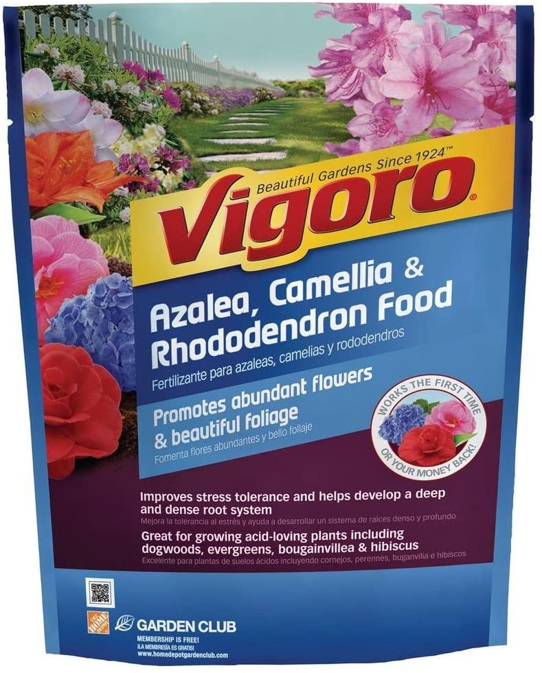 Vigoro Azalea, Camellia, and Rhododendron Plant Food Review