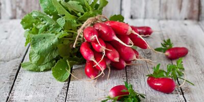 Are Radish Leaves Poisonous Or Safe To Eat?