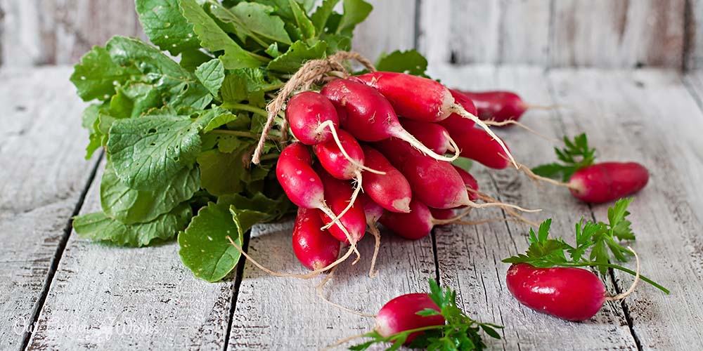 Are Radish Leaves Poisonous Or Safe To Eat