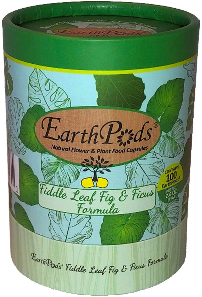 Best fig tree fertilizers - Earth Pods Ficus & Fiddle Fig Tree Fertilizer Spikes
