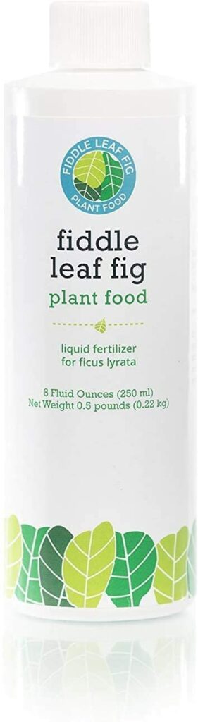 Best fig tree fertilizers - Fiddle-Leaf Fig Plant Food