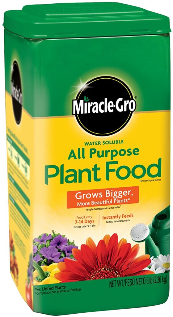 Best fig tree fertilizers - Miracle-Gro All-Purpose Plant Food