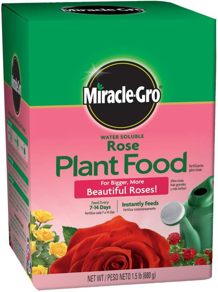 Miracle-Gro Rose Plant Food Review