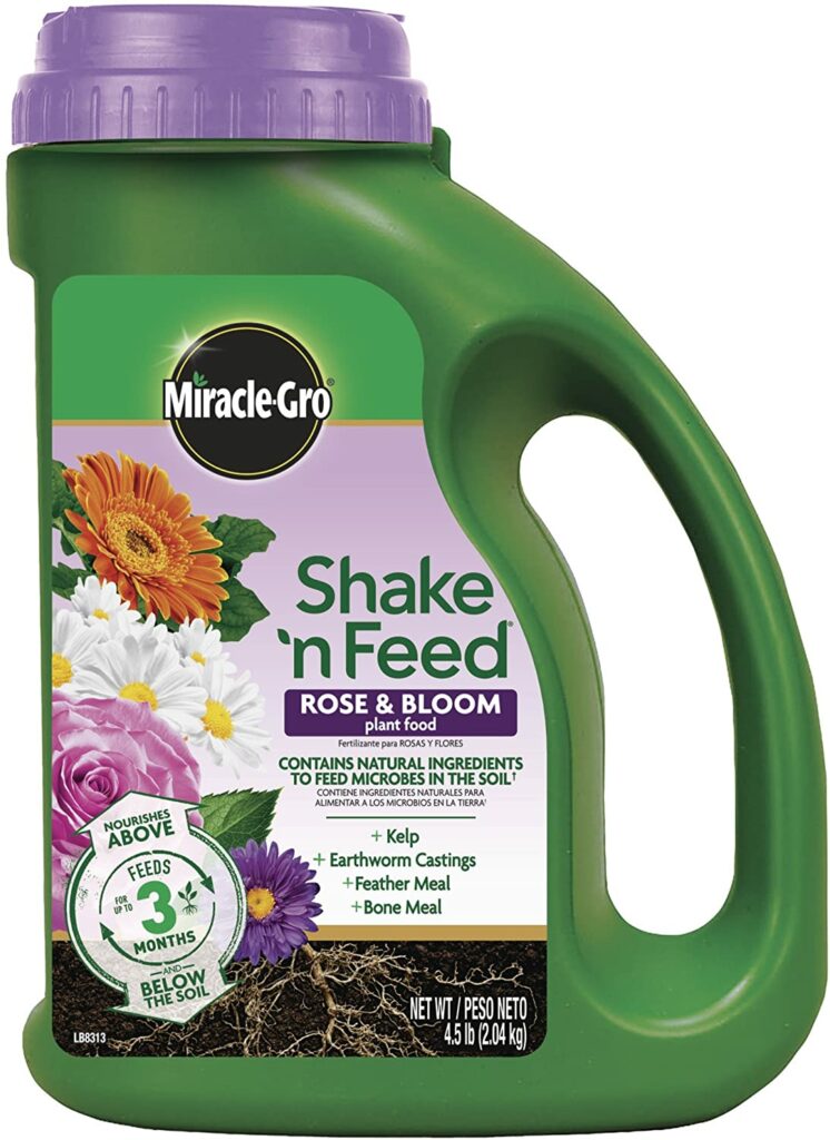 Miracle-Gro Shake N Feed Rose & Bloom Review