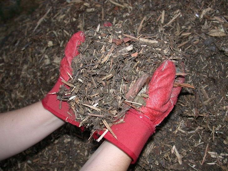 Reusing Old Mulch