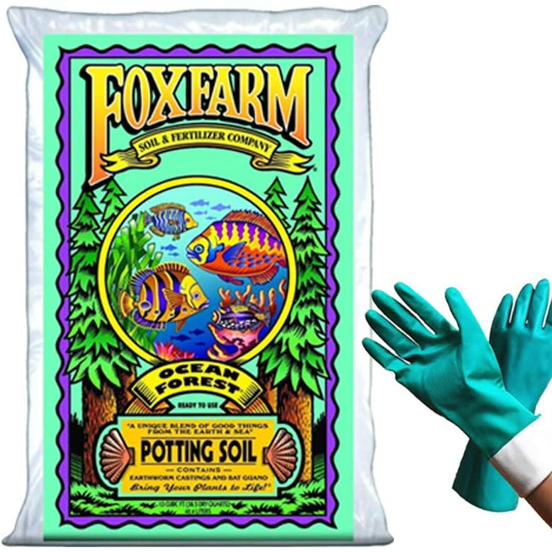 Fox Farm Ocean Forest Potting Soil For Tomatoes