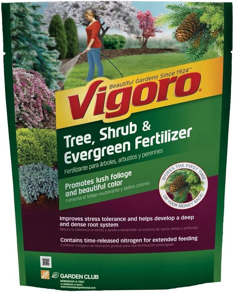 Best fertilizers for arborvitae: Vigoro Tree, Shrub, and Evergreen Plant Food