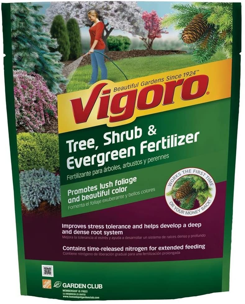 10 Best Fertilizers For Arborvitae Reviews & Tips in 2023