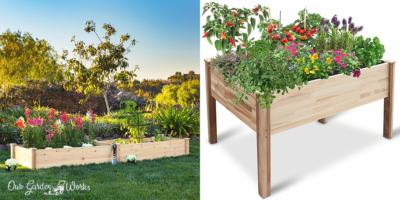 10 Best Raised Garden Beds For Small Spaces – Reviews & Buying Guide (2023)