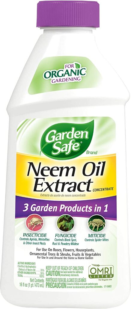 How Does Neem Oil Control Pests?