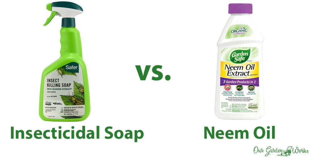 The Differences: Insecticidal soap vs. Neem oil