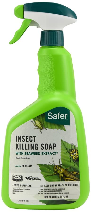 How Does an Insecticidal Soap Control Pests?