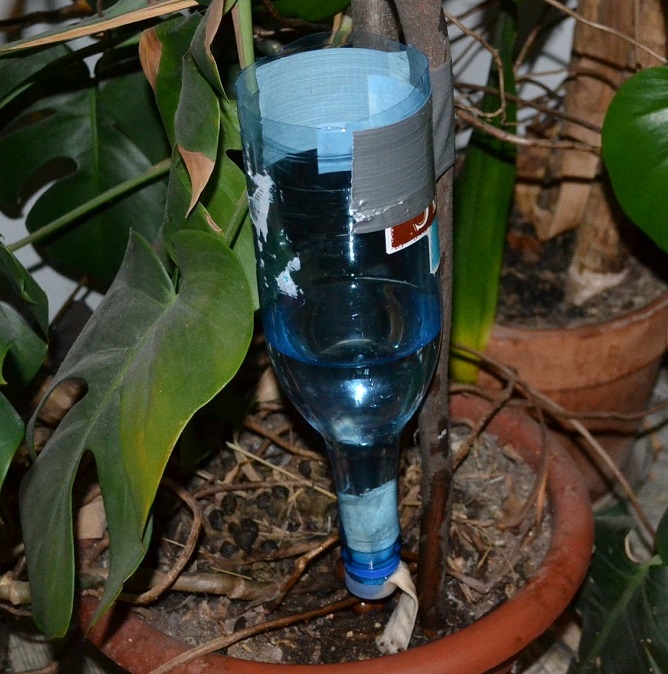 DIY Drip irrigation