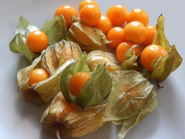 Are Tomatillos Toxic?