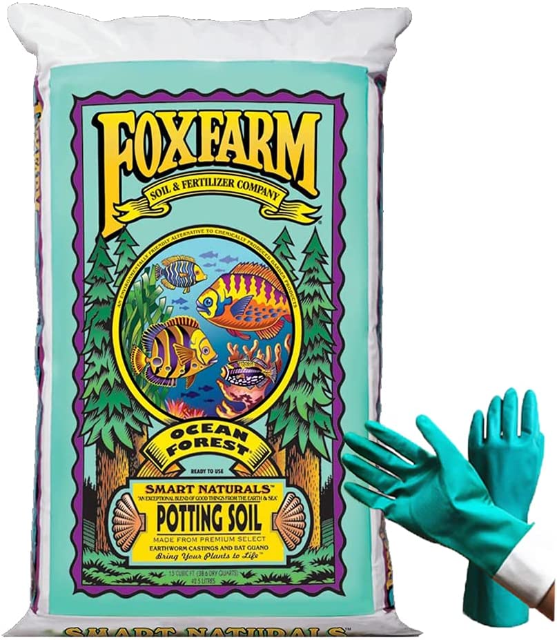 FoxFarm Ocean Forest Potting Soil Review