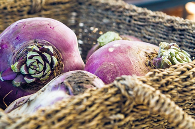 Freshly Harvested Rutabagas