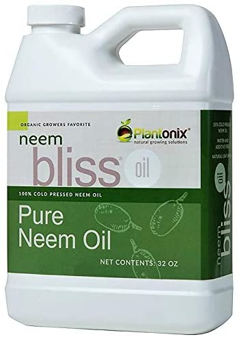 Neem Bliss Organics Pure Neem Oil Review