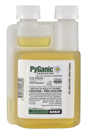 PyGanic-Gardening-Botanical-Insecticide