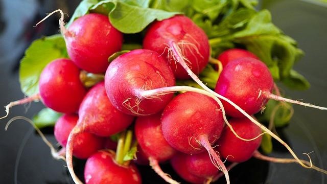 All about Radish