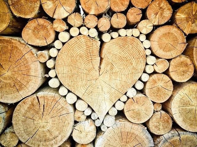 Tree stumps seasoned as a firewood