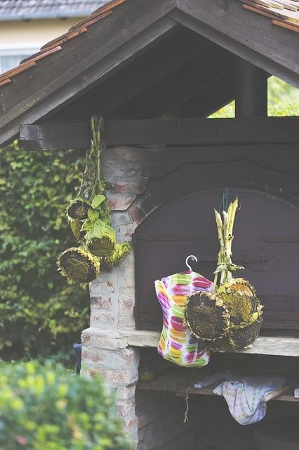 Drying flower on the flowerheads