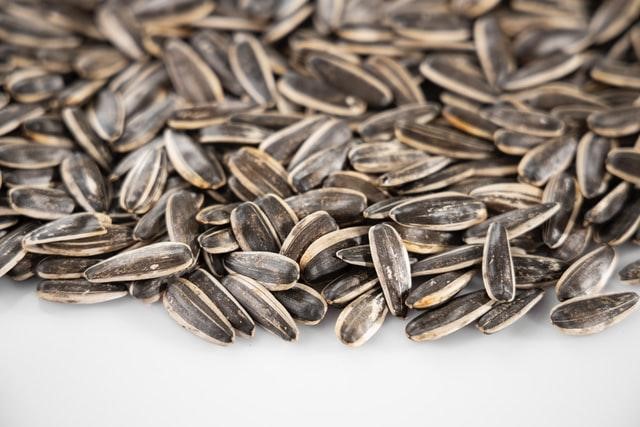 Roasted sunflower seeds