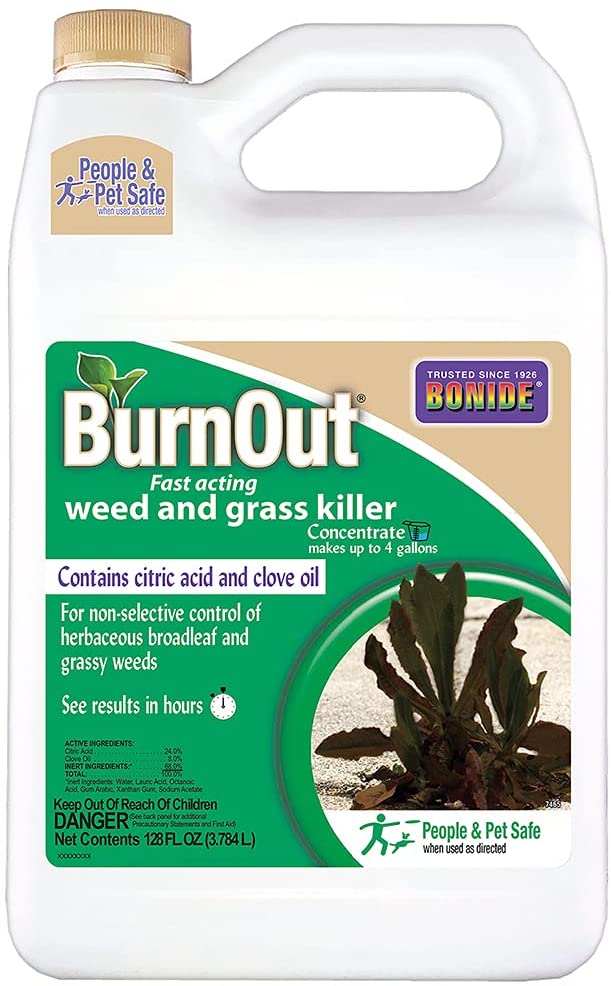 Burnout Weed & Grass Killer Concentrate Review