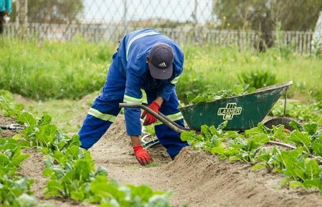 Safety clothes of a farmer