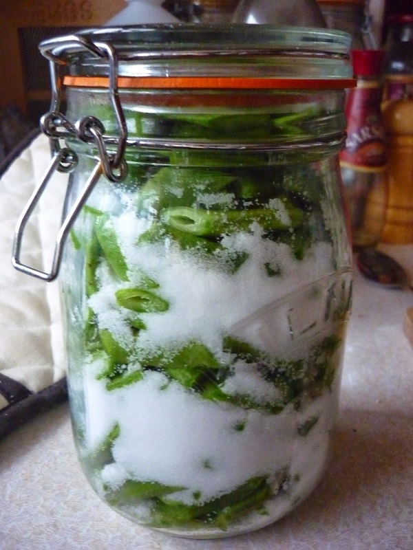 Salting green beans as food preservation