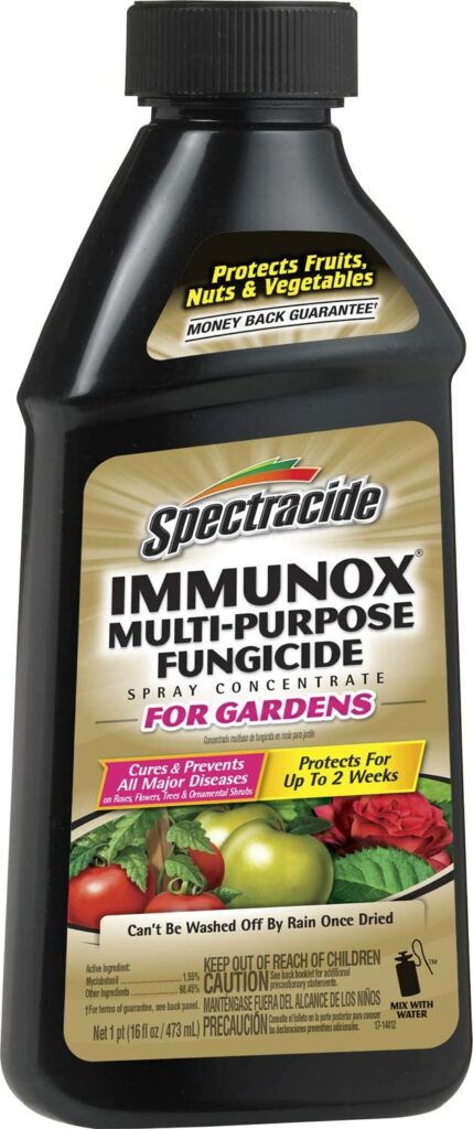 Spectracide Immunox Multi-Purpose Fungicide Spray Concentrate Review