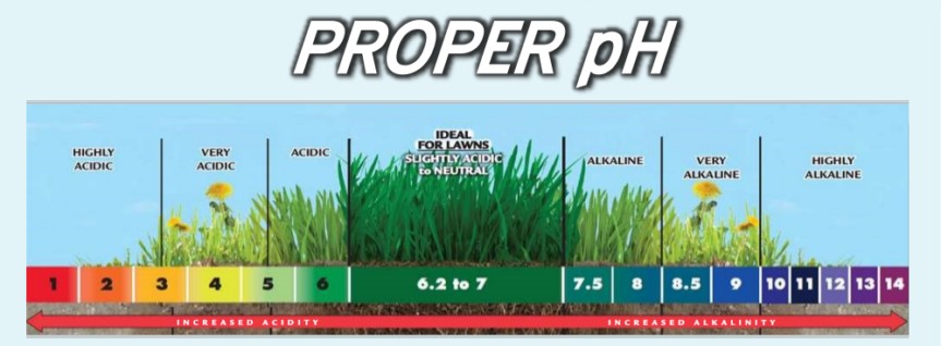 Soil pH meter