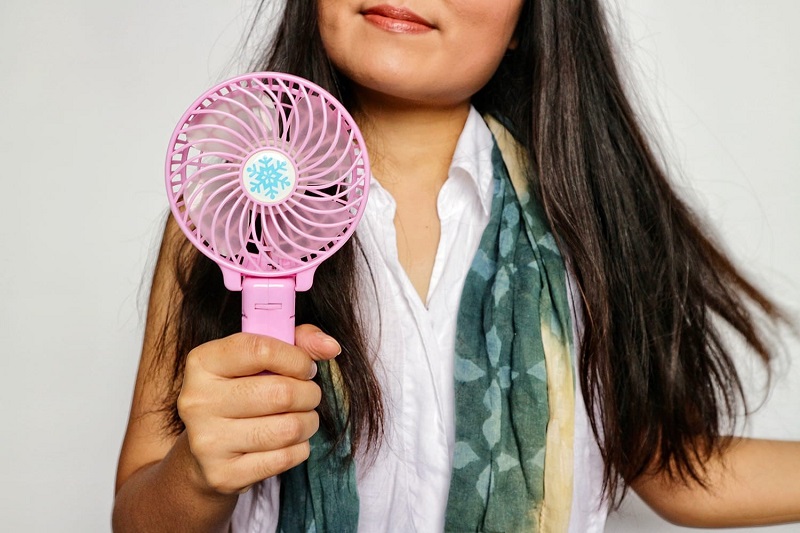 Portable fan